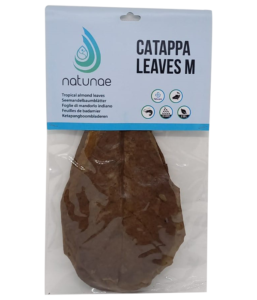 CATAPPA LEAVES - M