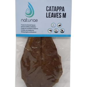 CATAPPA LEAVES - M