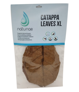 CATAPPA LEAVES - XL