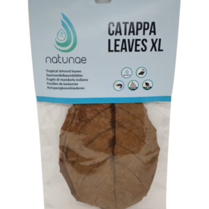 CATAPPA LEAVES - XL