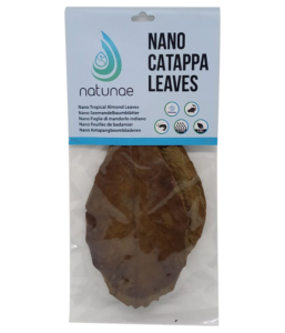 NANO CATAPPA  LEAVES