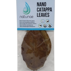 NANO CATAPPA  LEAVES